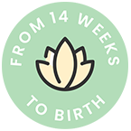 https://childcarewithjamiel.com/wp-content/uploads/2022/05/floating_image_01.png